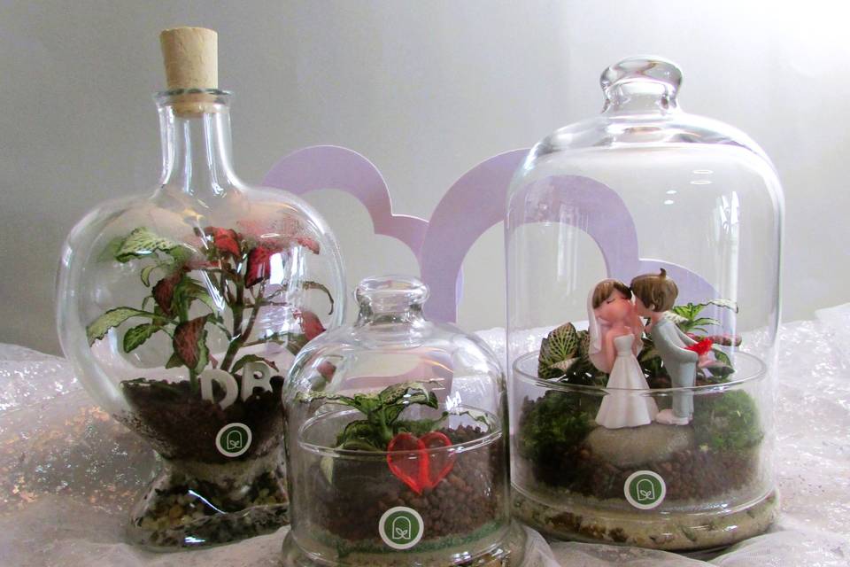 Mix Terrarium
