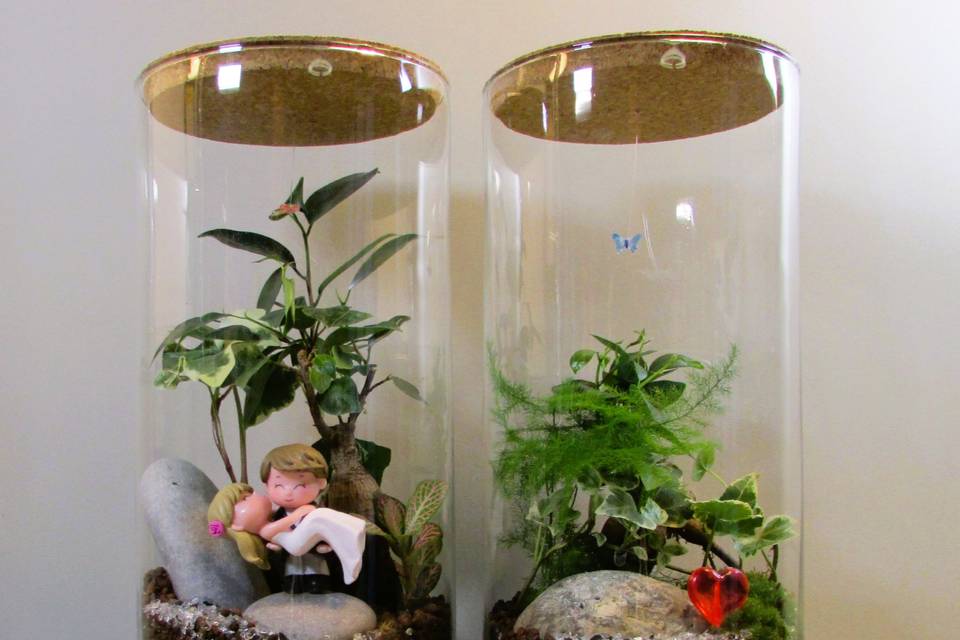 Mix Terrarium