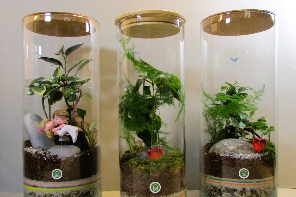 Mix Terrarium