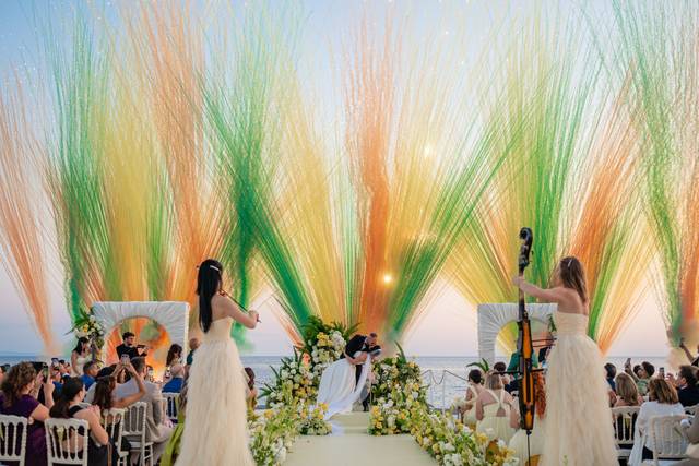 Adp Wedding & Event Planner