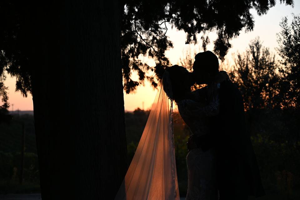Enrico Photography