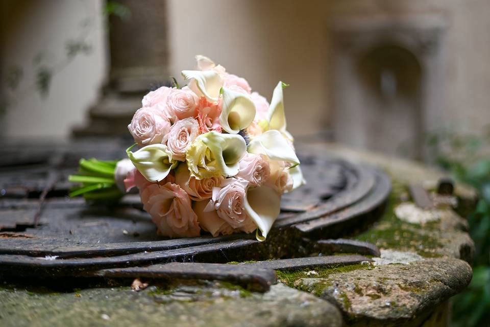 Enrico Photography