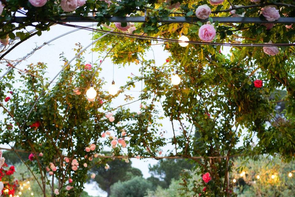 Carmen Renna Wedding