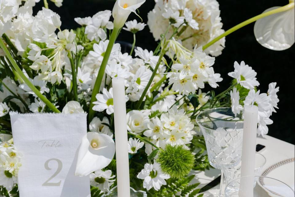 Carmen Renna Wedding