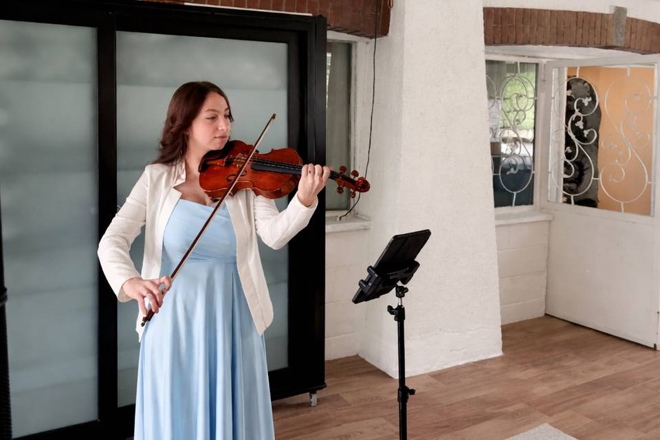 Solo Violino