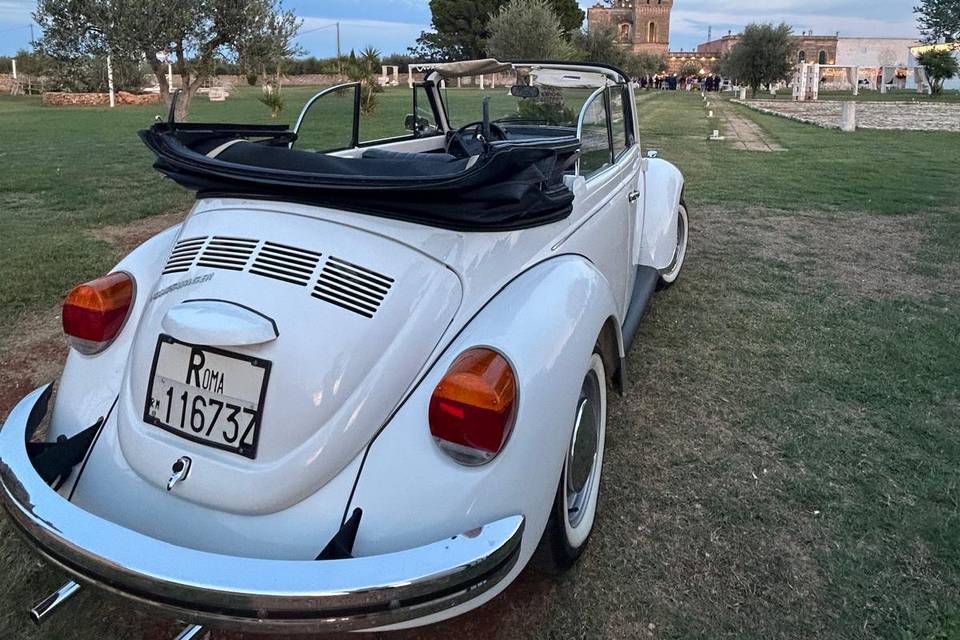 WV Maggiolino