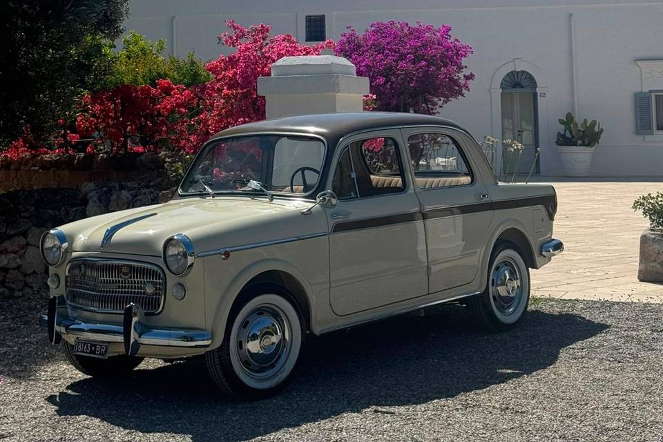 Fiat 1100