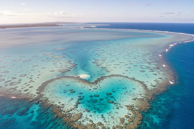 Heart reef