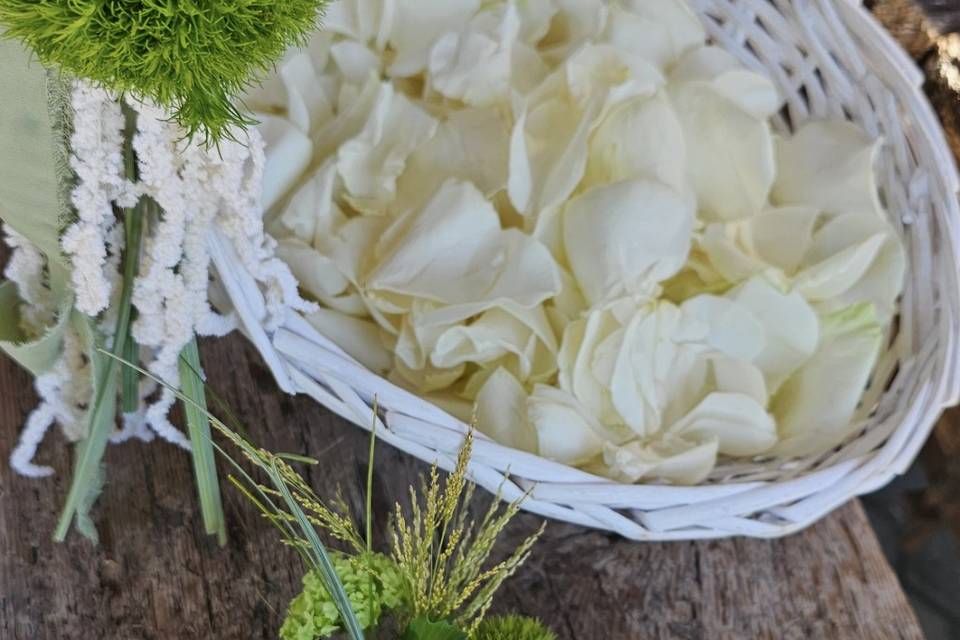 Accessori