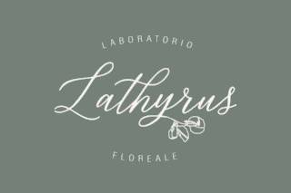 Lathyrus Laboratorio Floreale