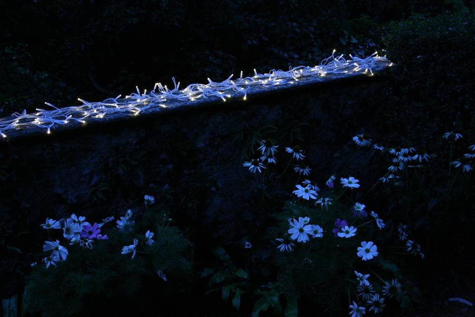 Garden Lighting