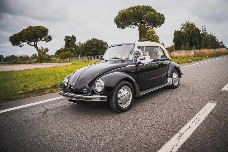 50 Anni