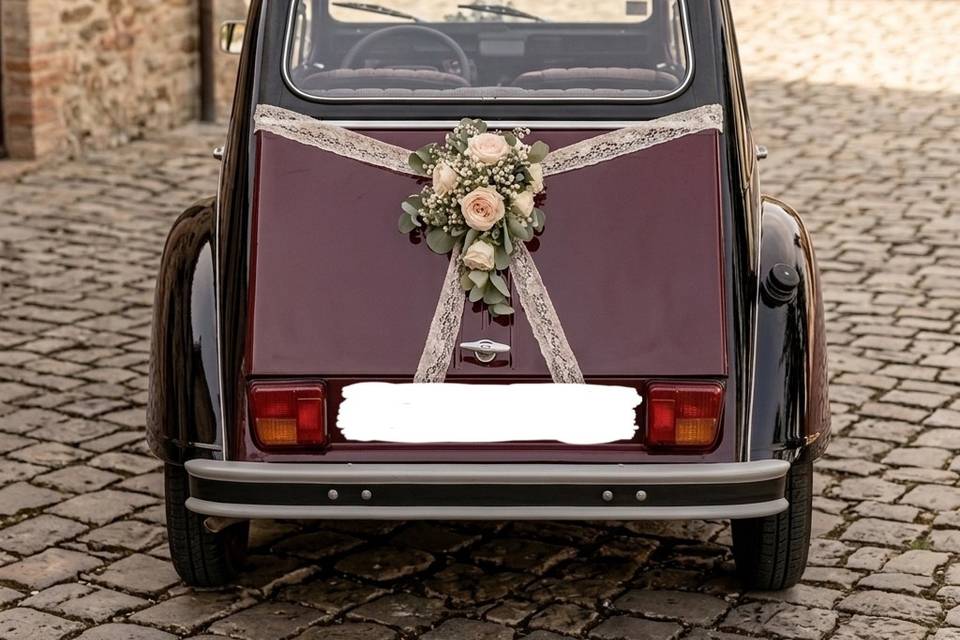 Posteriore