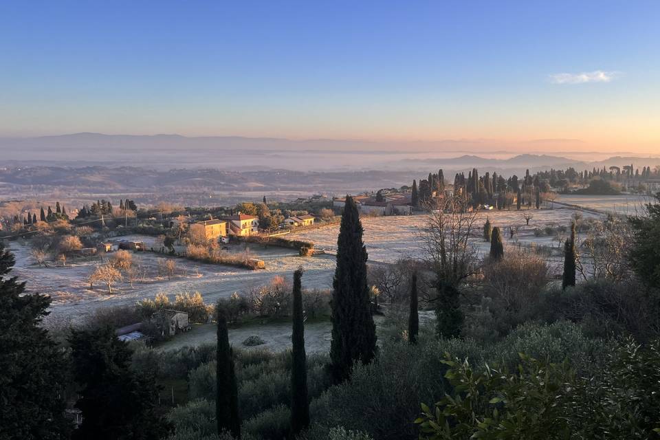 Panorama