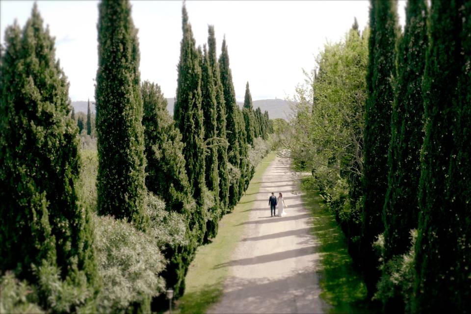 Wedding in paestum