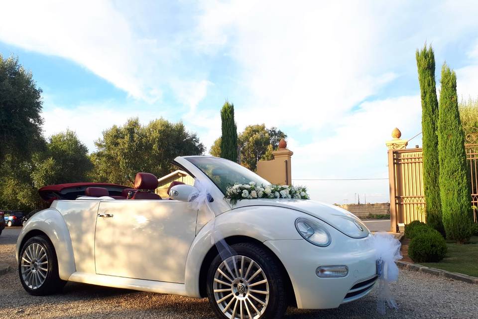 Maggiolino New Beetle Cabrio