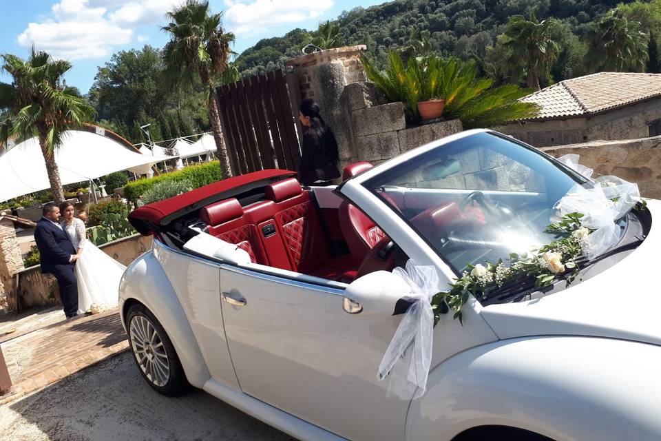 Maggiolino New Beetle Cabrio