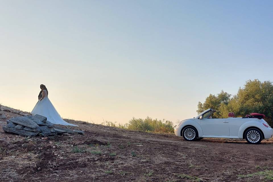 Maggiolino New Beetle Cabrio