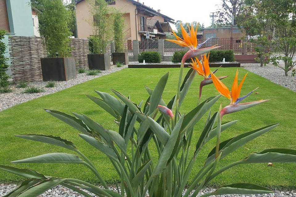 Giardino con fontana