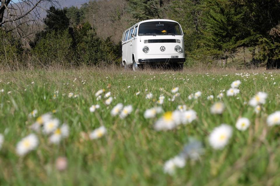 Volkswagen T2