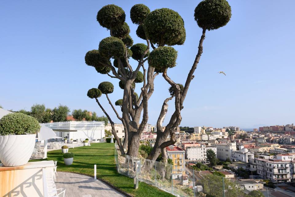 Panorama