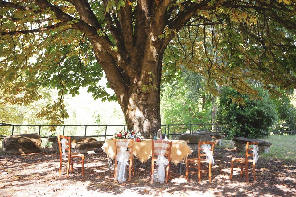 Il Rito sotto il grande albero