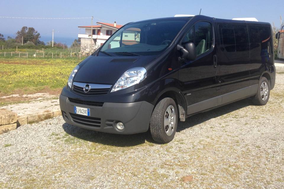 Vivaro nero