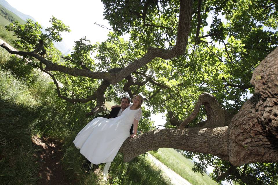 Emotional Wedding