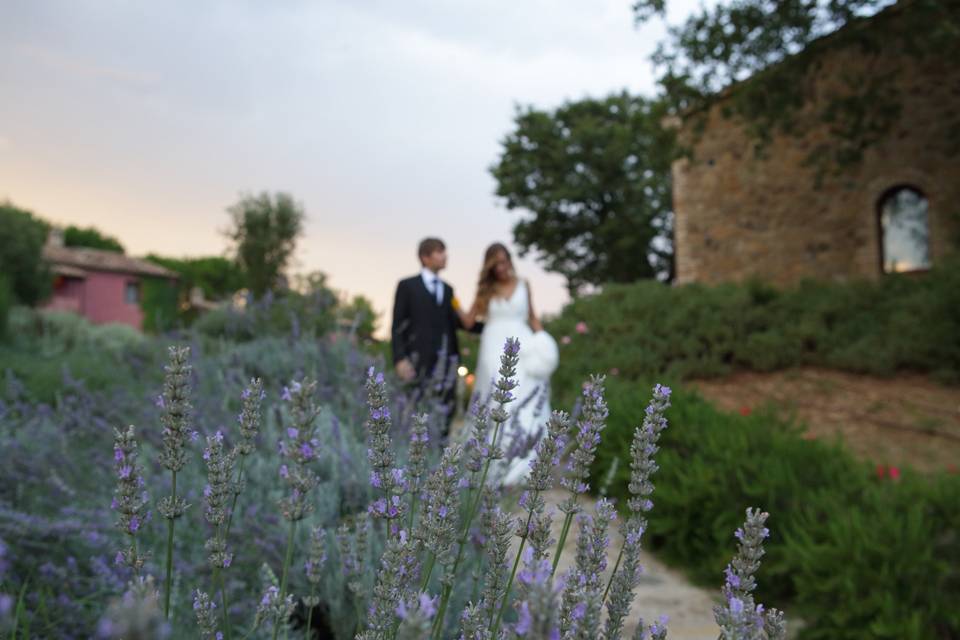 Paolo Pizzetti Fotografo