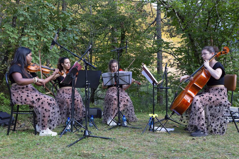 Evento a Resia in quartetto