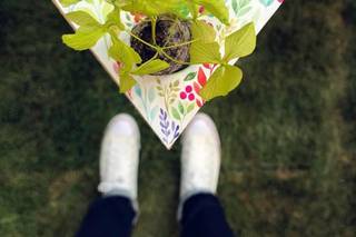 Eco-Decors
