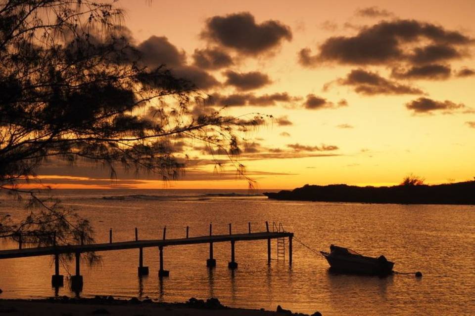 Isole Cook