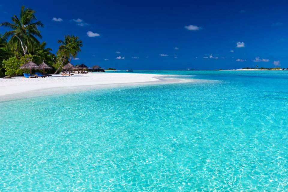 Isole Cook