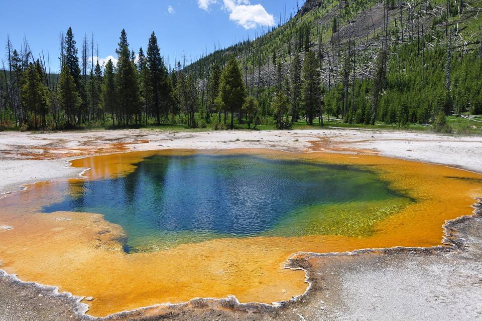 Yellowstone - USA