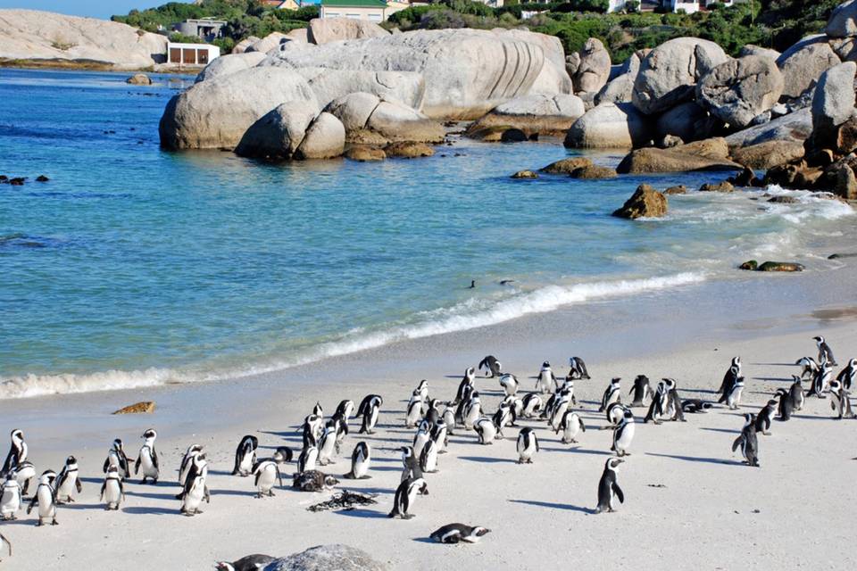 Sudafrica