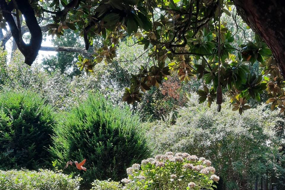 Giardino della Magnolia