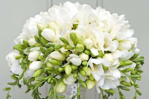 Bouquet Fresie