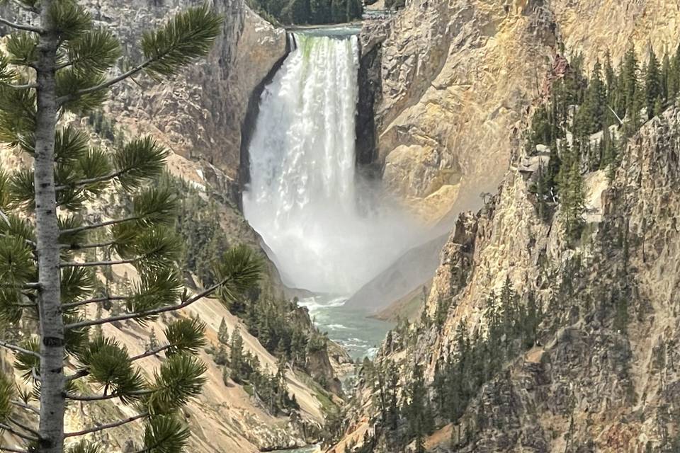 Yellowstone NP