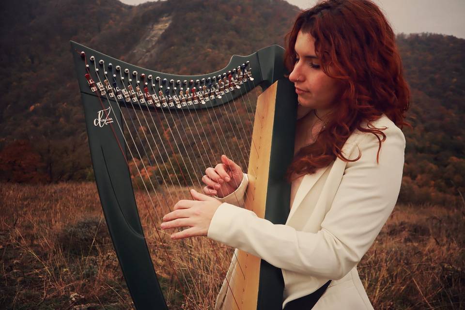 Arpa bardica