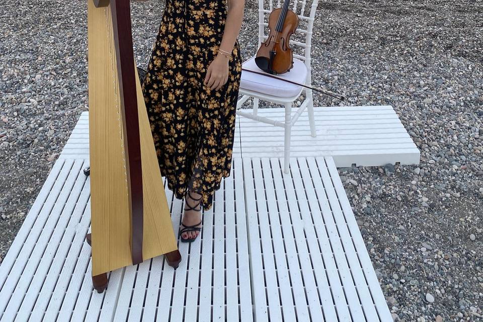 Matrimonio celtico al mare