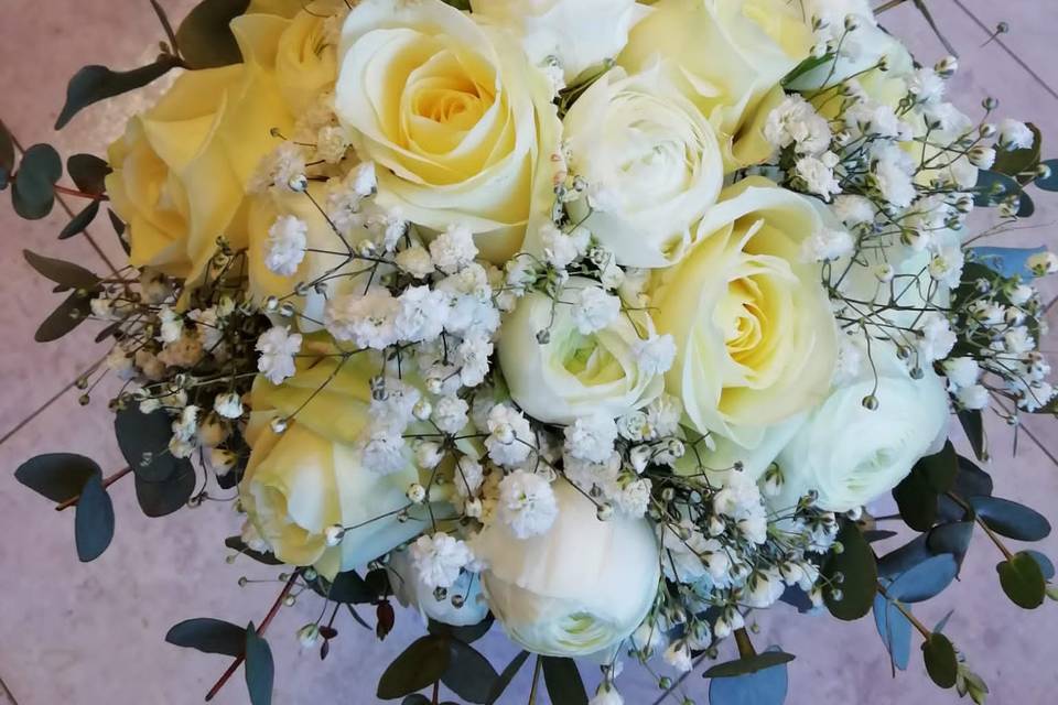 Rose