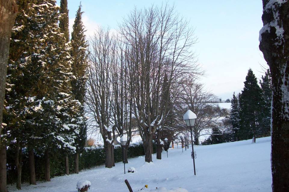 Cortile innevato