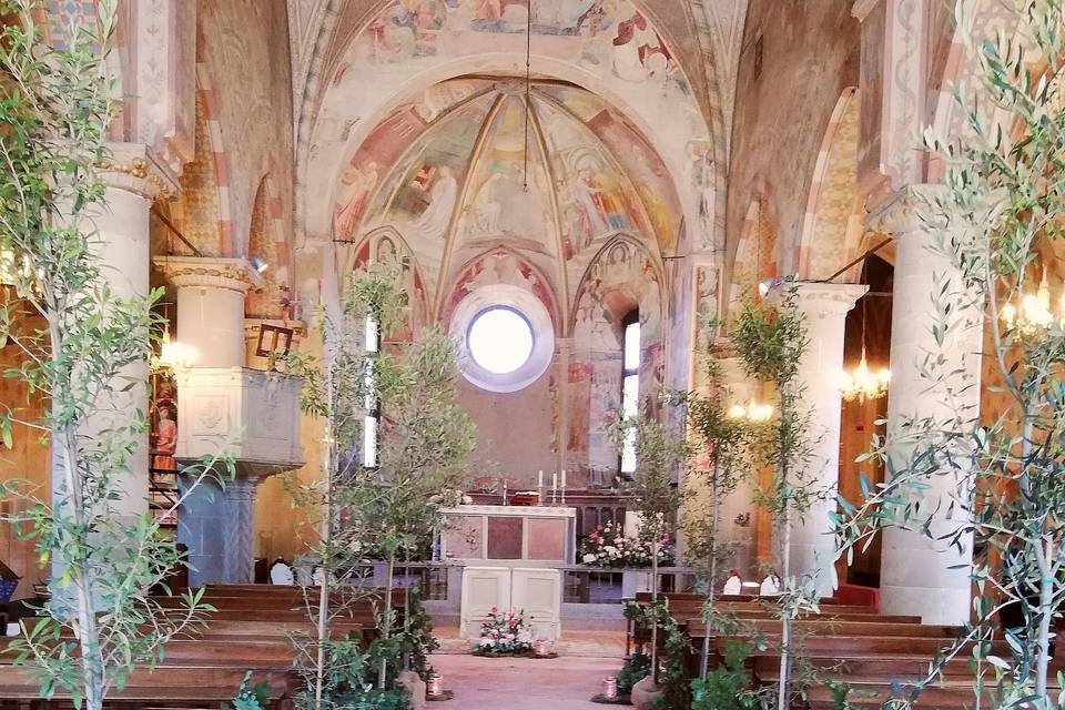 Collegiata Castiglione Olona