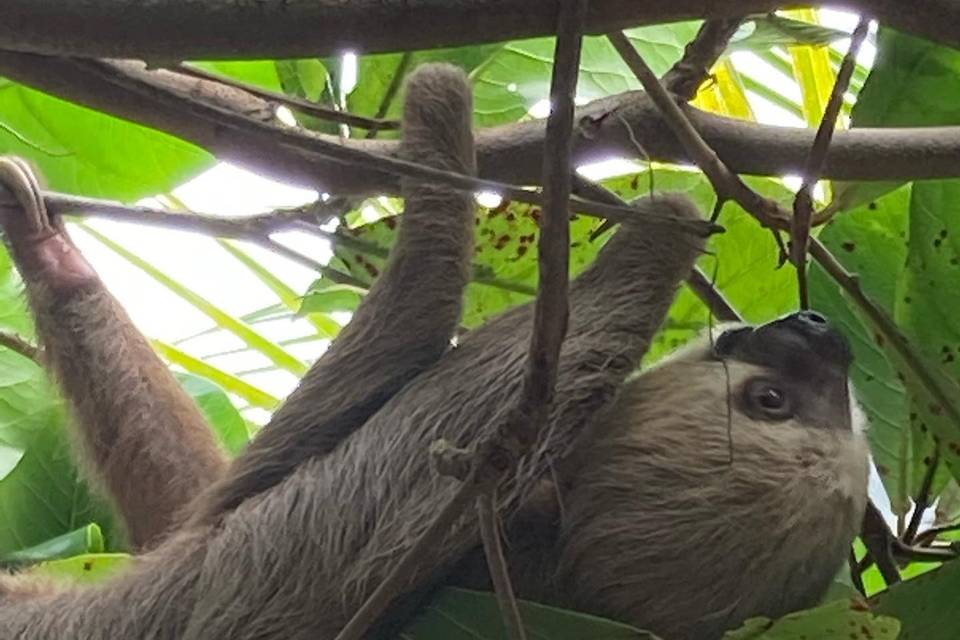 Costa Rica