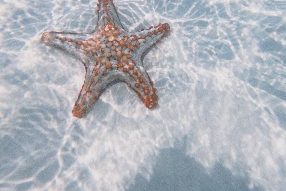 Zanzibar