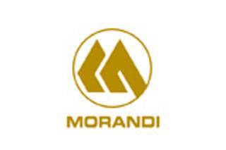 Morandi Luxury cars and coach