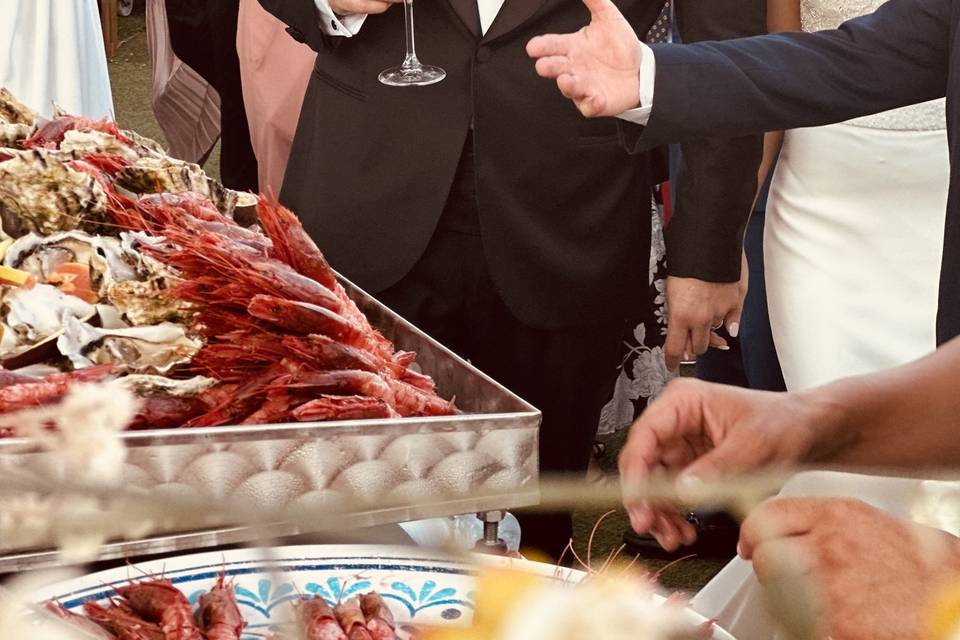 Ostricaro