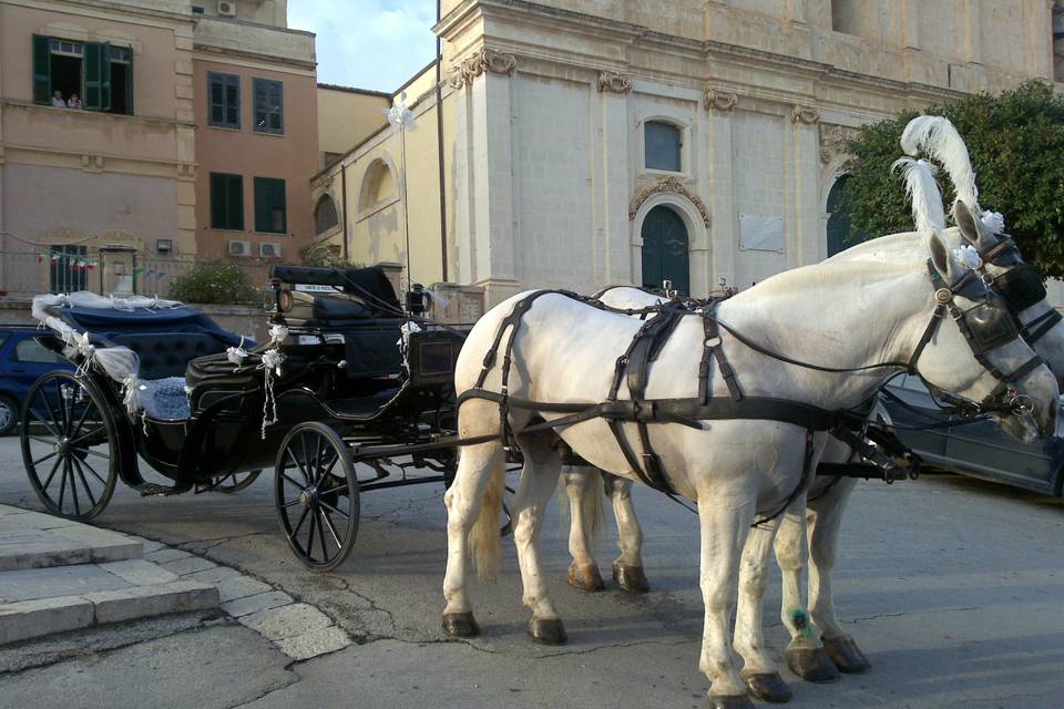 Carrozza