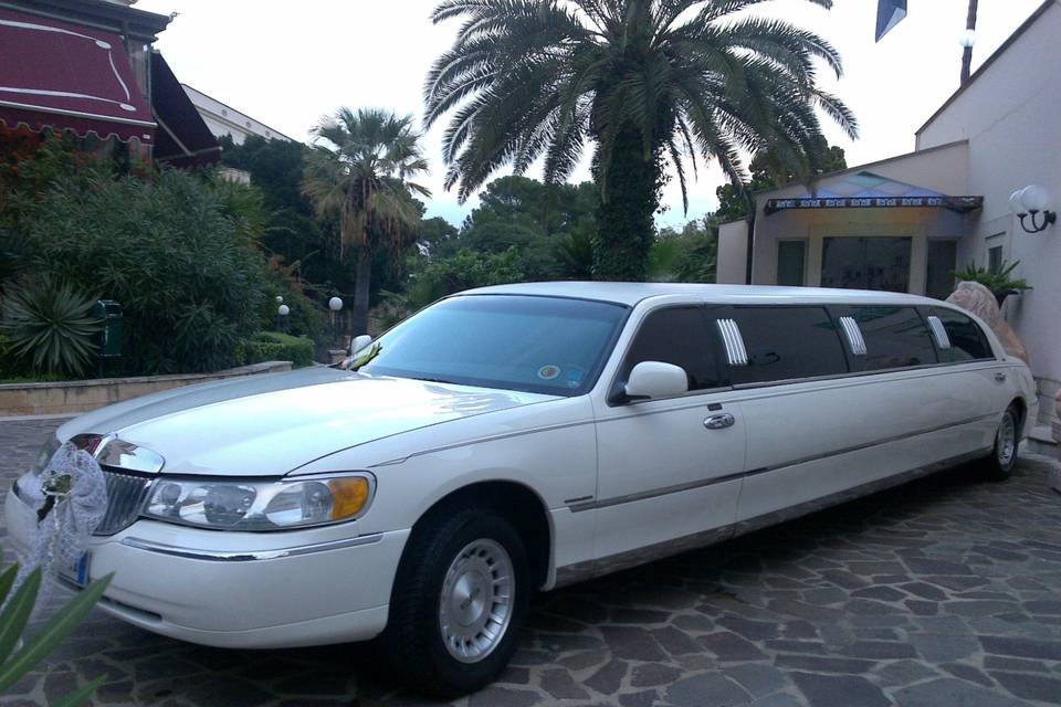 Limousine Presidenziale