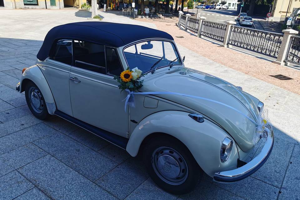 Maggiolino Cabriolet Bianco